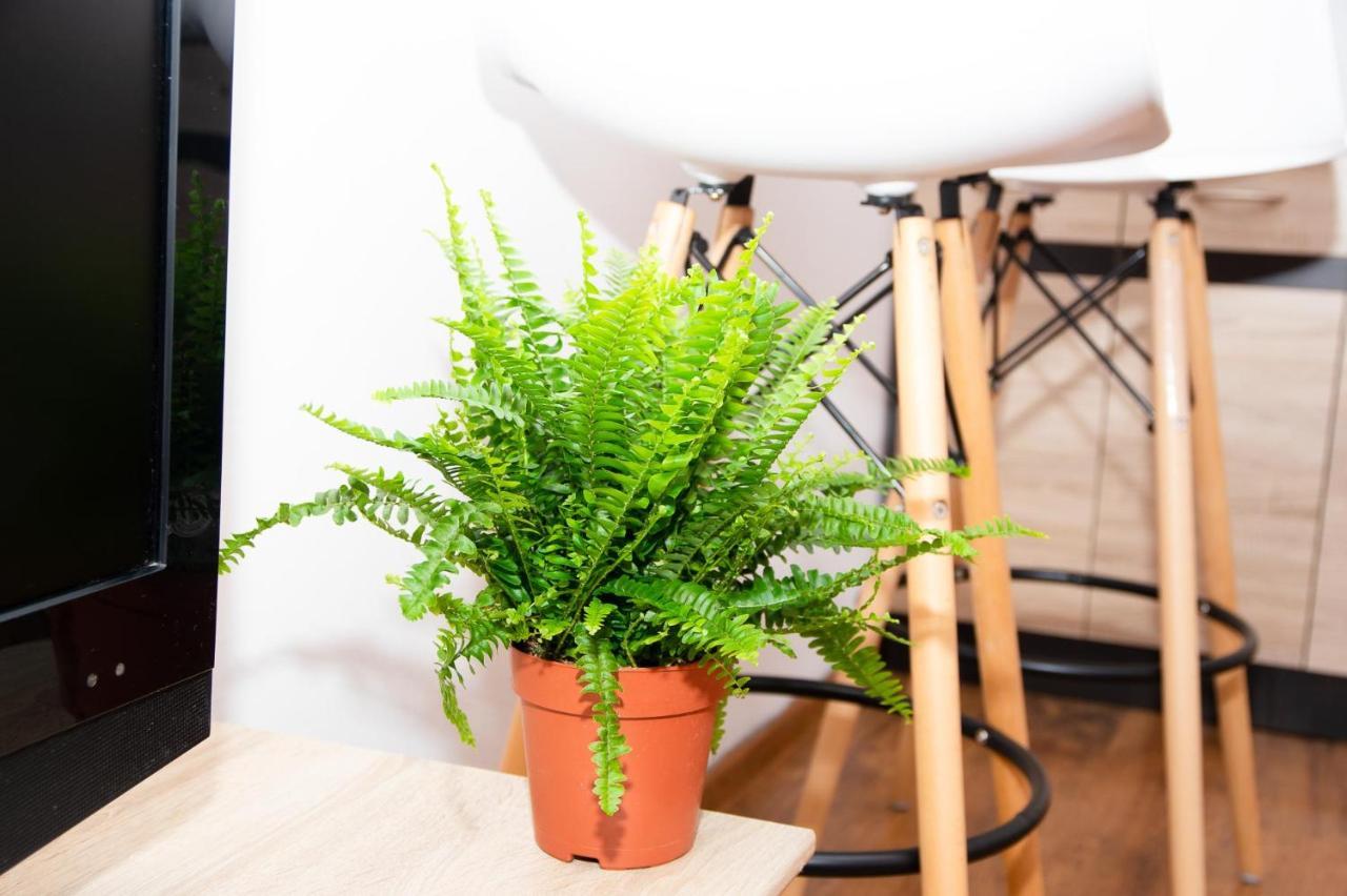 Cosy Studio In Nové Zámky 外观 照片